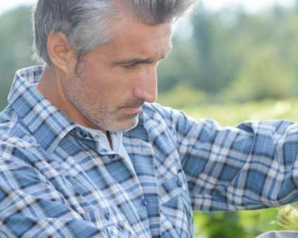 homme cheveux blancs chemise à carreaux s'occupant d'une vigne