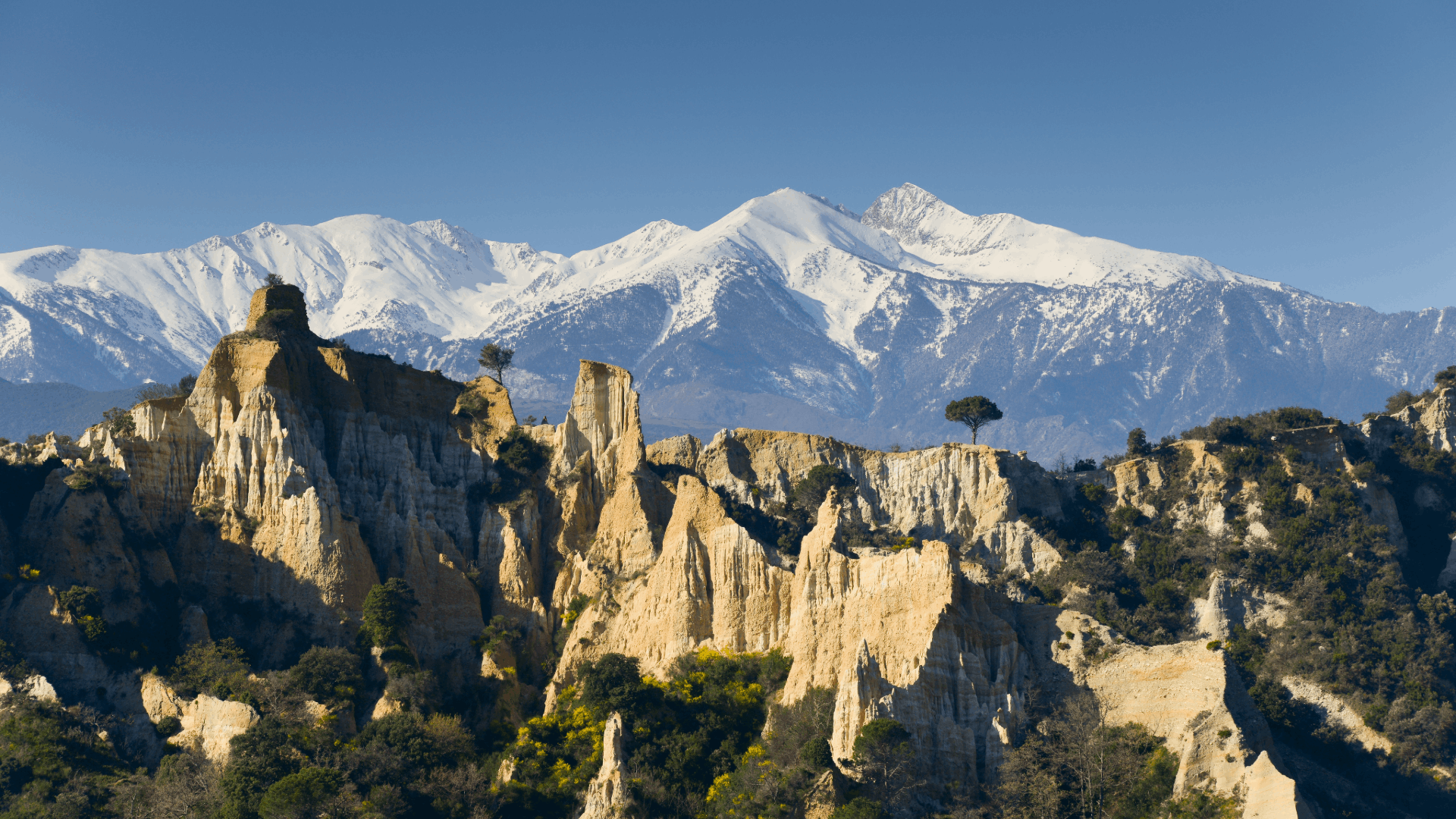 Les orgues d'Ille sur Têt et le Canigou enneigé
