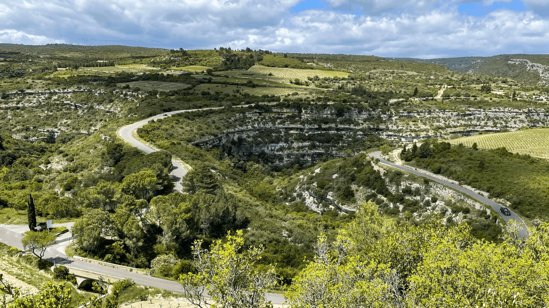 paysage du Minervois à Olonzac